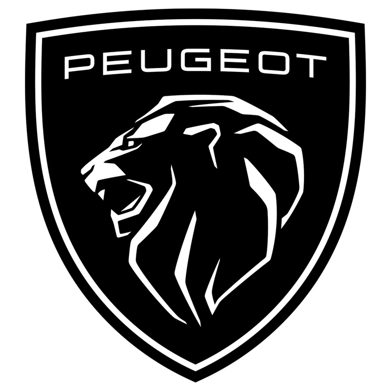 Genuine Peugeot – Wheel Cap – 93863910
